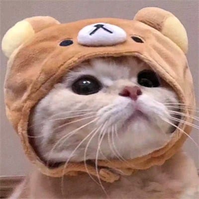 Fajar Nugraha avatar